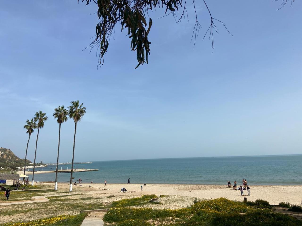 Marsa-Sidi Bousaid Cosy Authentic Apartment Λα Μάρσα Εξωτερικό φωτογραφία