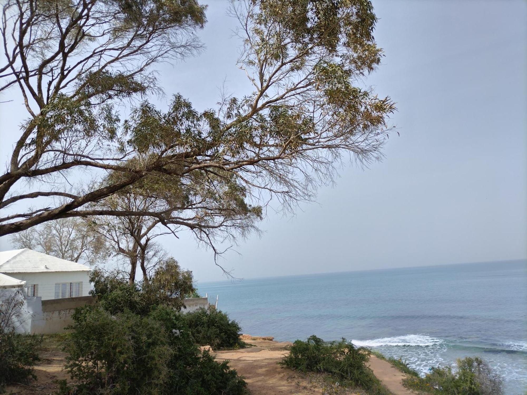 Marsa-Sidi Bousaid Cosy Authentic Apartment Λα Μάρσα Εξωτερικό φωτογραφία
